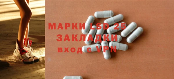 шишки Абаза