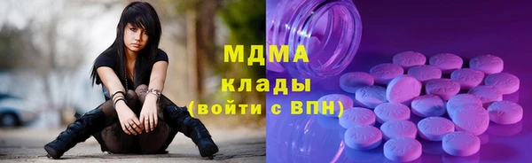 шишки Абаза