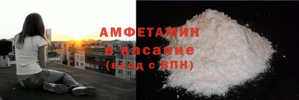 шишки Абаза