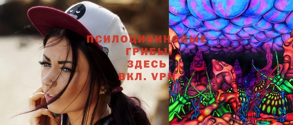 a pvp Алзамай